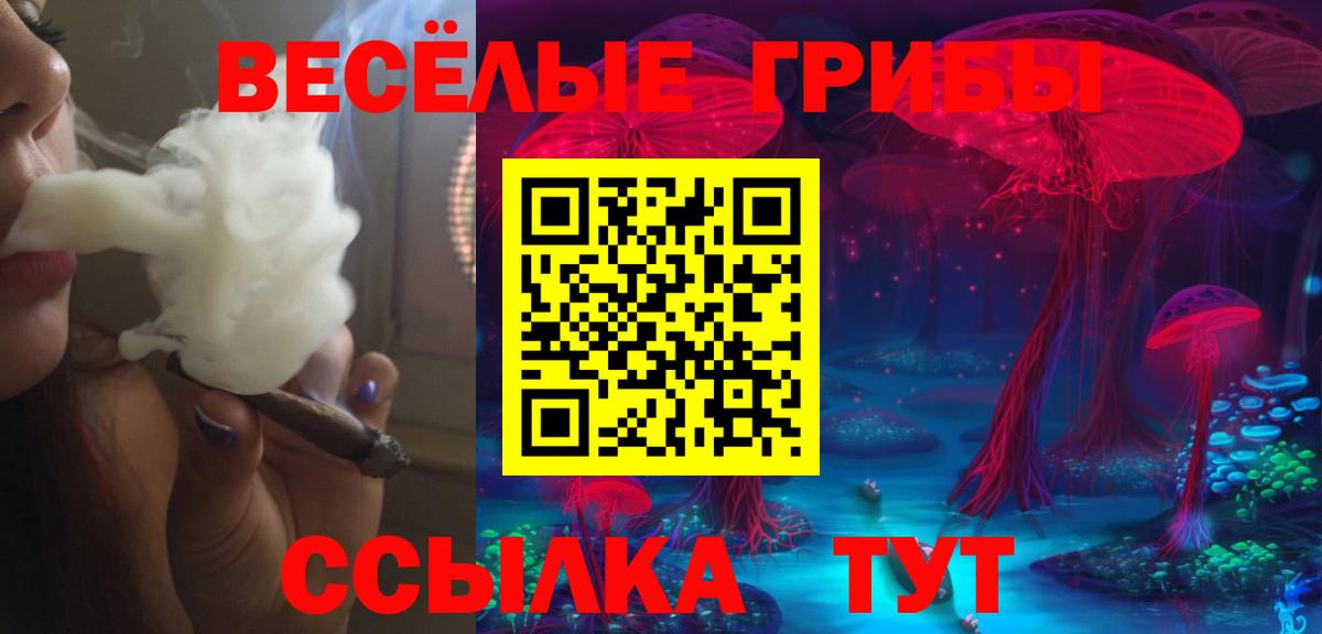 Псилоцибиновые грибы GOLDEN TEACHER  цена наркотик  Люберцы  Вход с VPN 